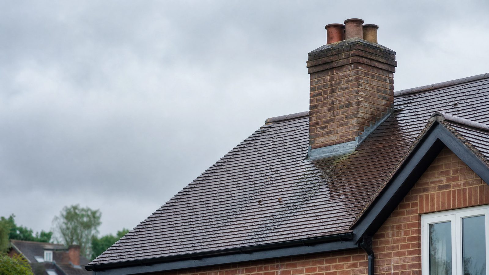 Chimney Repairs & Repointing