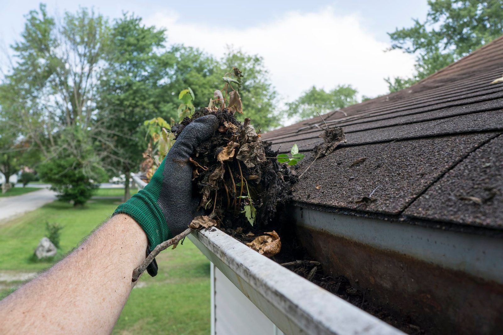 Gutter Cleaning & Clearing thumbnail 2