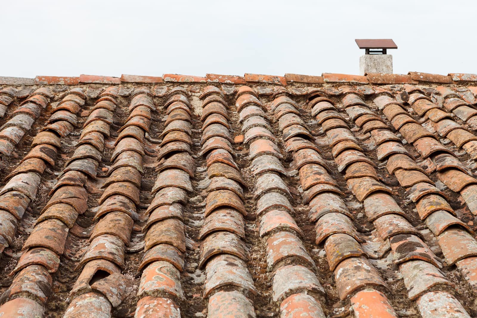 Ridge & Hip Tile Repointing